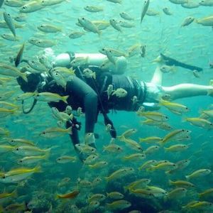 Meet your Posher, Seth